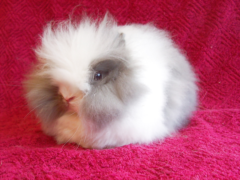 Killikus® Fotographie Killikus® Fotographie