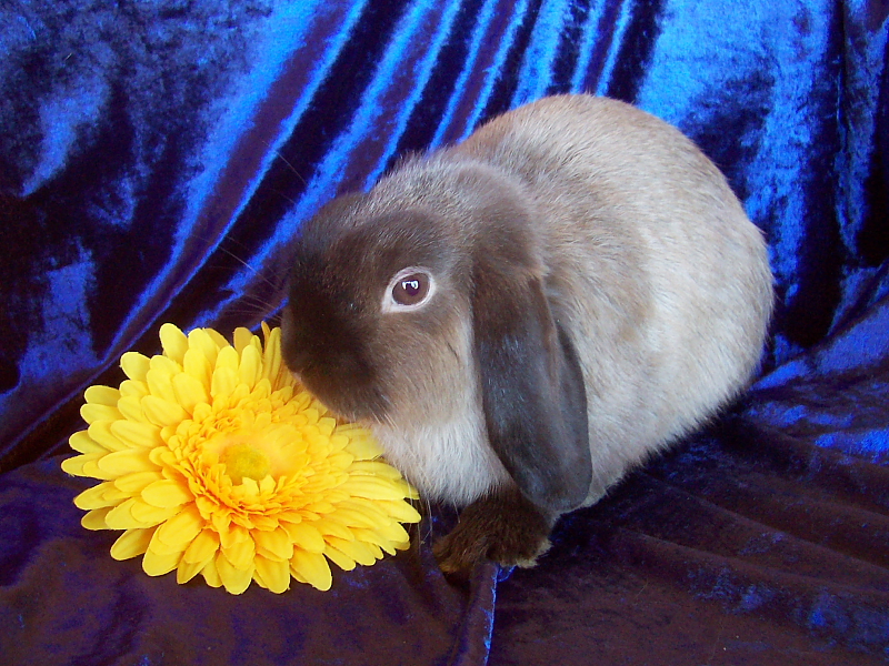 Killikus® Fotographie Killikus® Fotographie