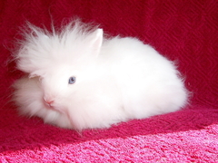 Killikus&reg; Fotographie