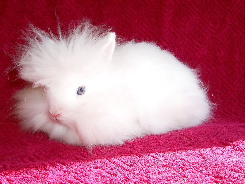 Killikus&reg; Fotographie