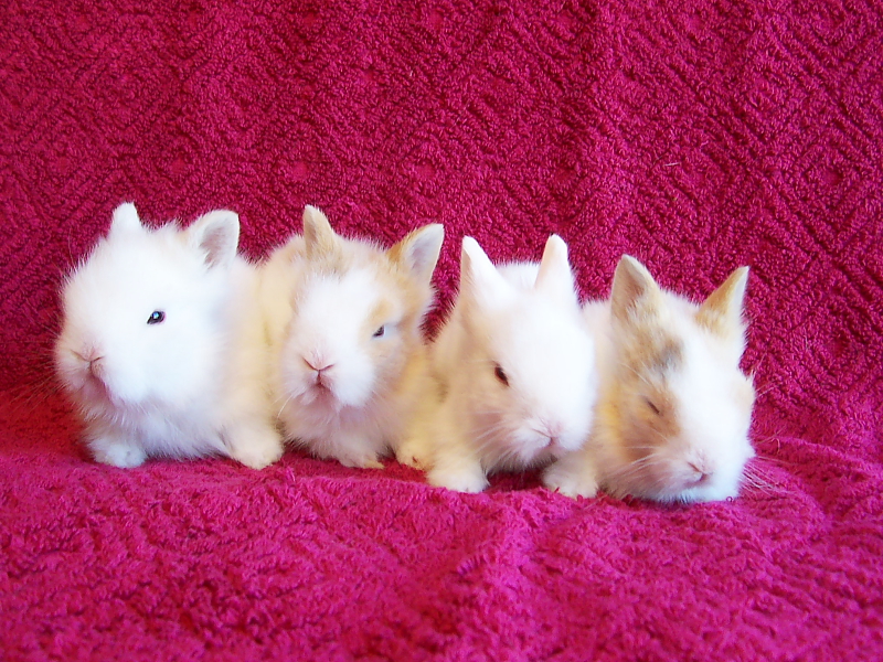 Killikus® Fotographie Killikus® Fotographie