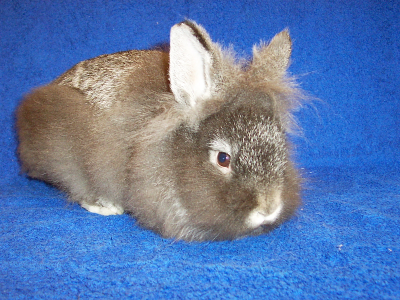 Killikus&reg; Fotographie