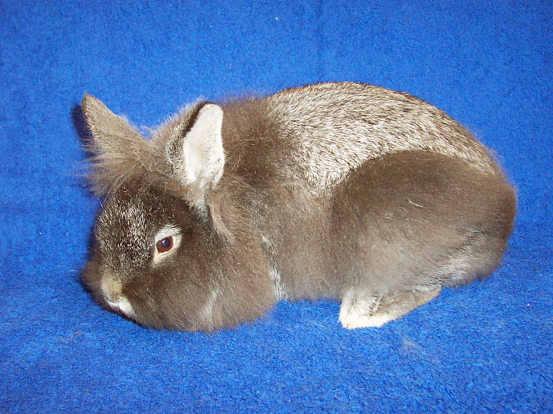 Killikus&reg; Fotographie