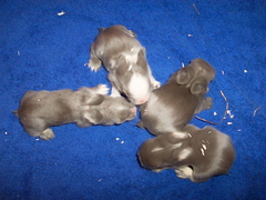 Killikus&reg; Fotographie