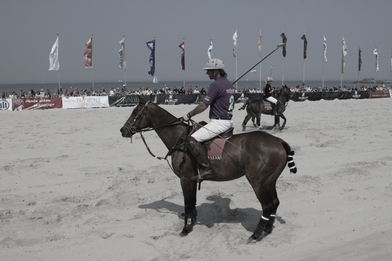 Beach Polo Polopferde 