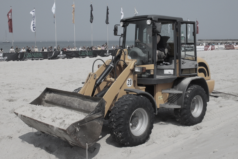 Beach Polo Polopferde 