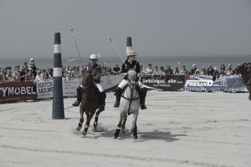 Beach Polo Polopferde 