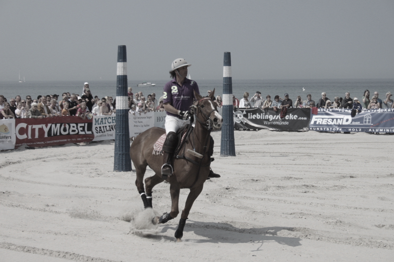 Beach Polo Polopferde 