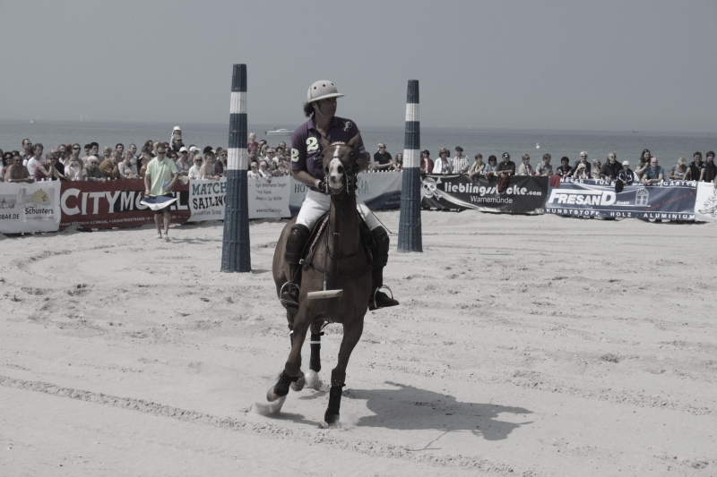 Beach Polo Polopferde 