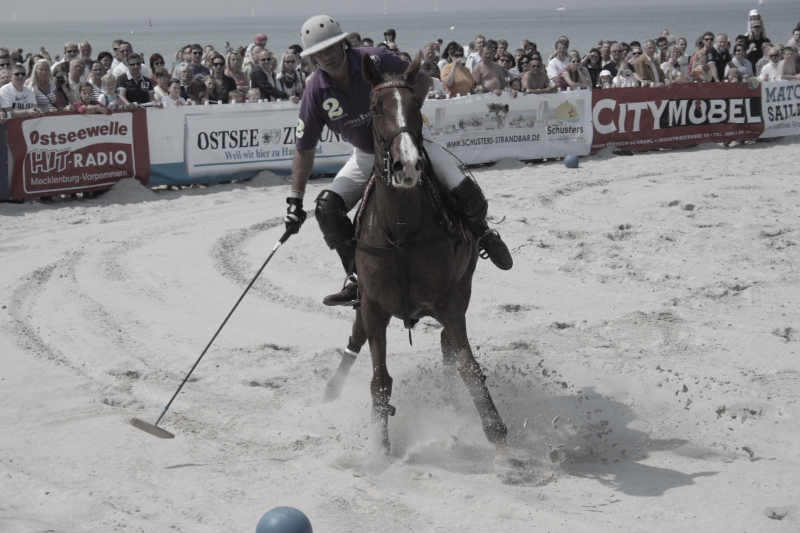 Beach Polo Polopferde 