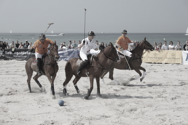 Beach Polo Polopferde 