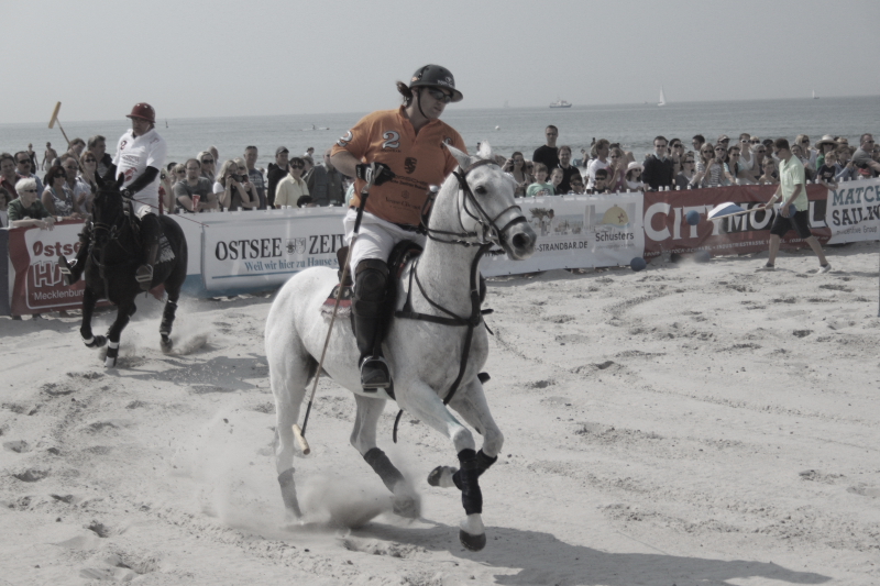 Beach Polo Polopferde 