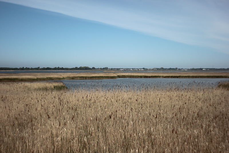 Bodden Gewsser Boddenlandschaften