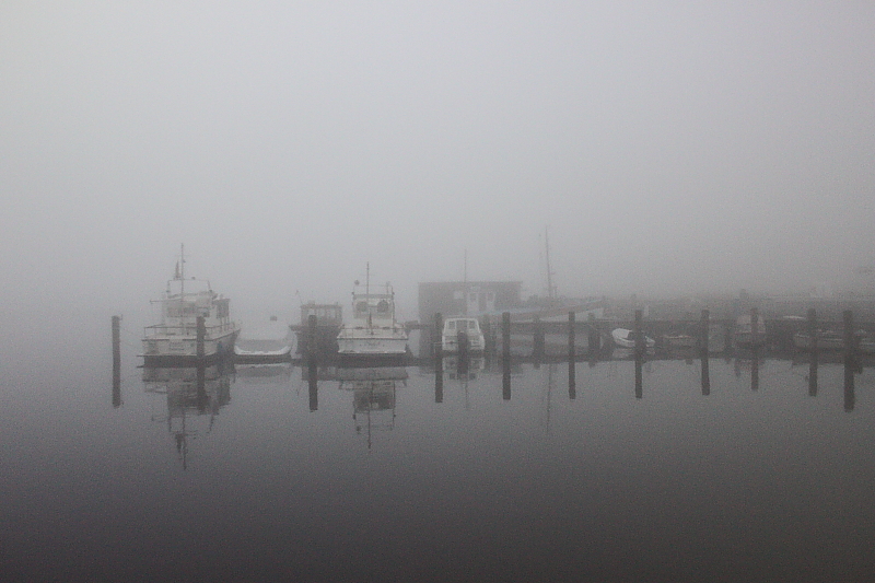 Boddensegeln Segelurlaub