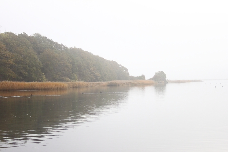 Boddensegeln Segelurlaub