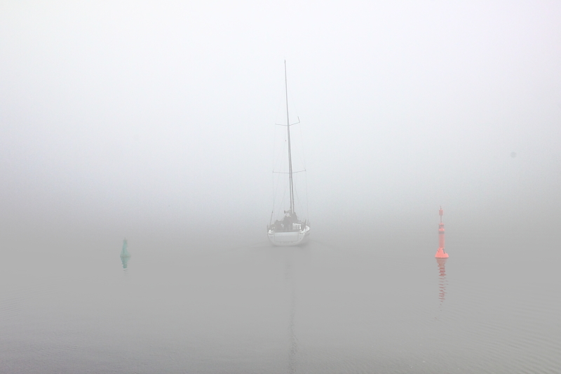 Boddensegeln Segelurlaub