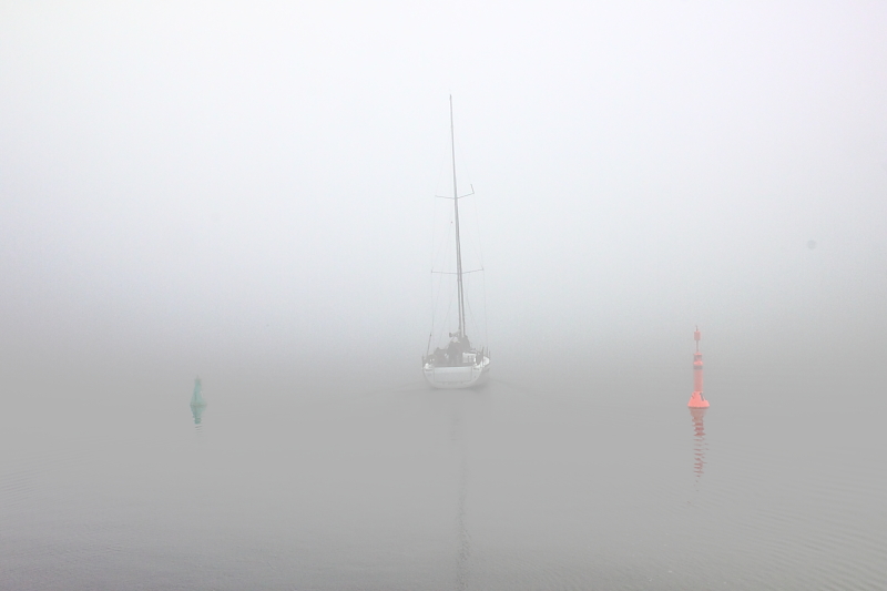 Boddensegeln Segelurlaub