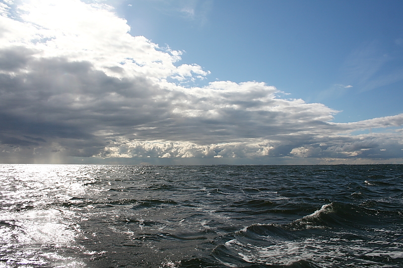 Boddensegeln Segelurlaub