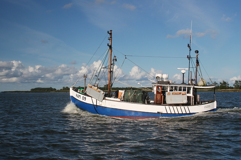 Boddensegeln Segelurlaub