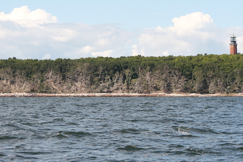 Boddensegeln Segelurlaub