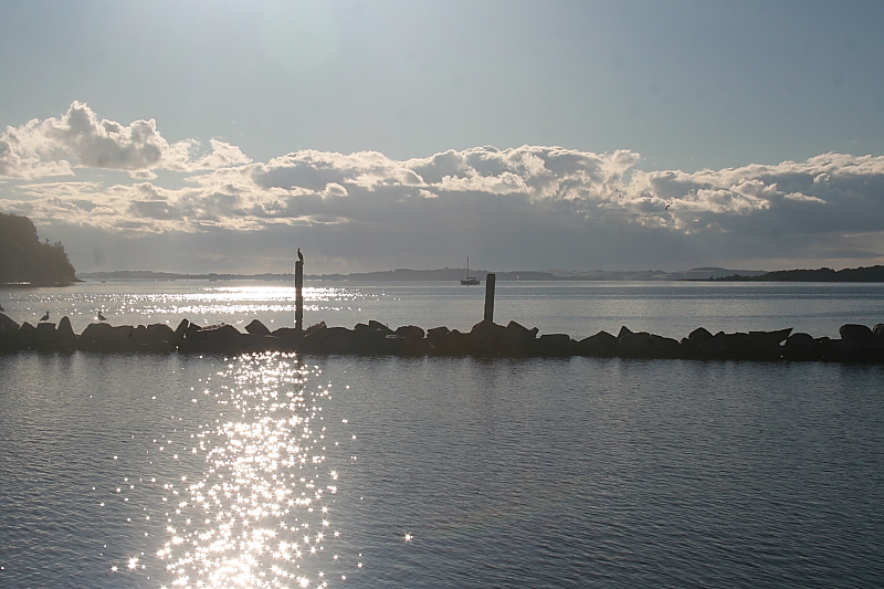 Boddensegeln Segelurlaub Boddensegeln Segelurlaub