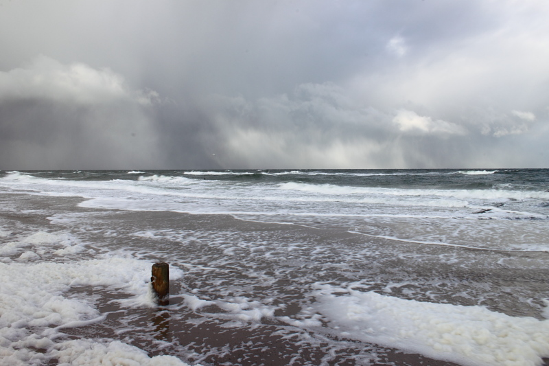 Killikus Wetter Buch - Wetterprognosen 