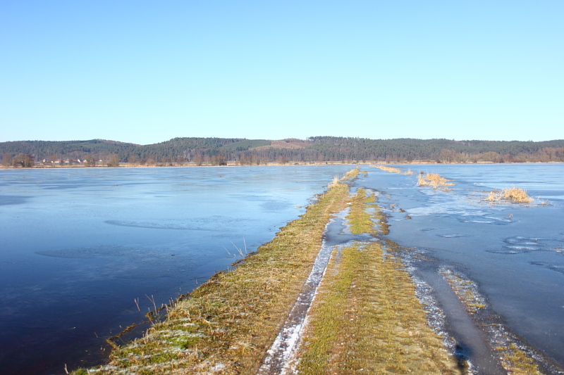 Killikus Wetter Buch - Wetterprognosen 