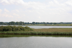 Burgwallinsel Teterow