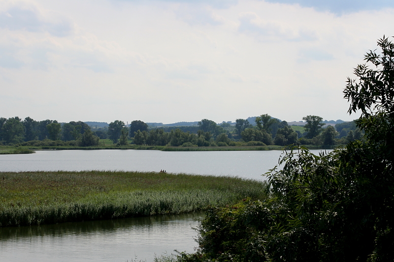 Burgwallinsel Teterow