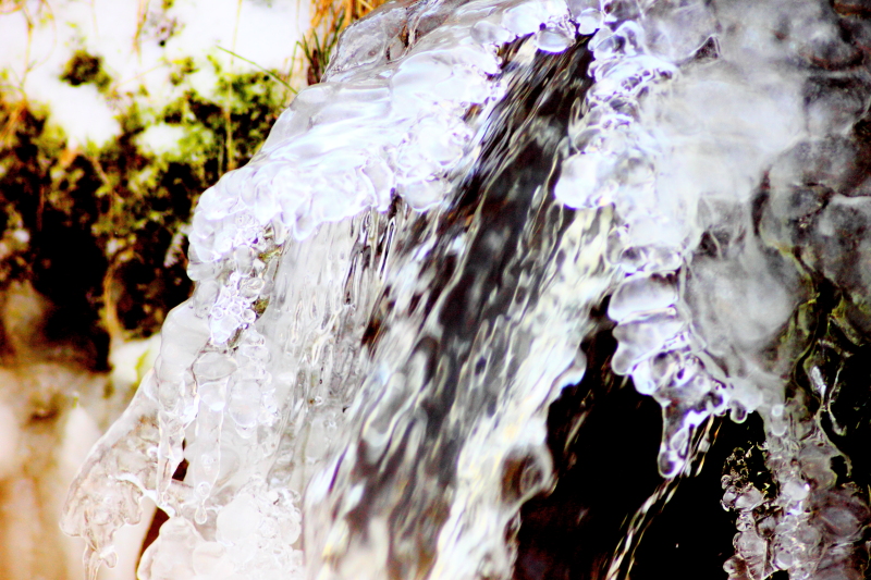 Bunte Eiskristalle am Bach Bunte Eiskristalle am Bach