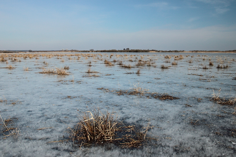 Februar Wetter