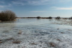 Februar Wetter