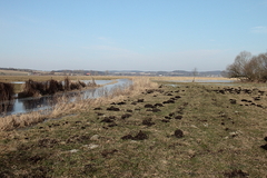 Februar Wetter