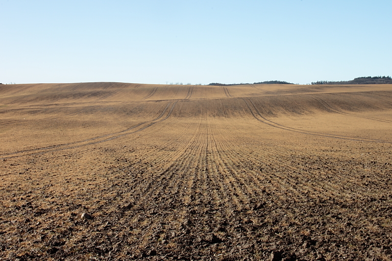 Februar Wetter