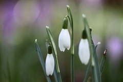 Februar Wetter