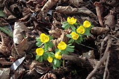 Februar Wetter