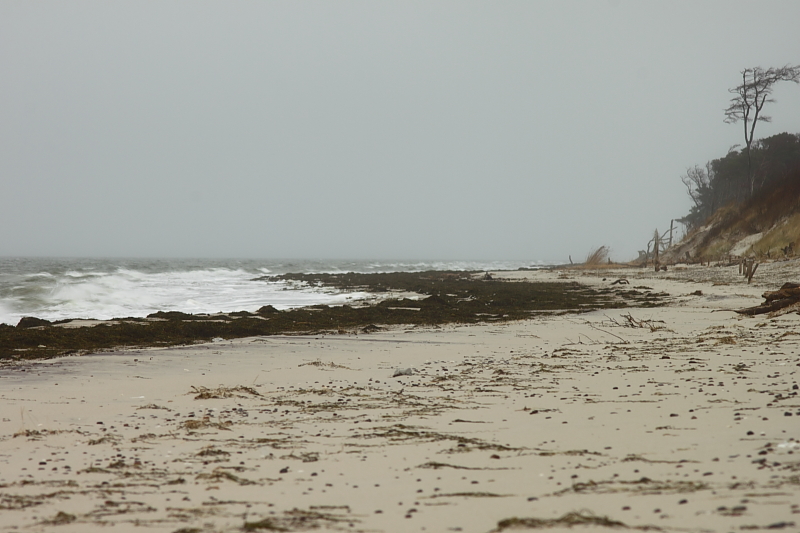 Weststrand Fischland bei Wind Weststrand Fischland bei Wind