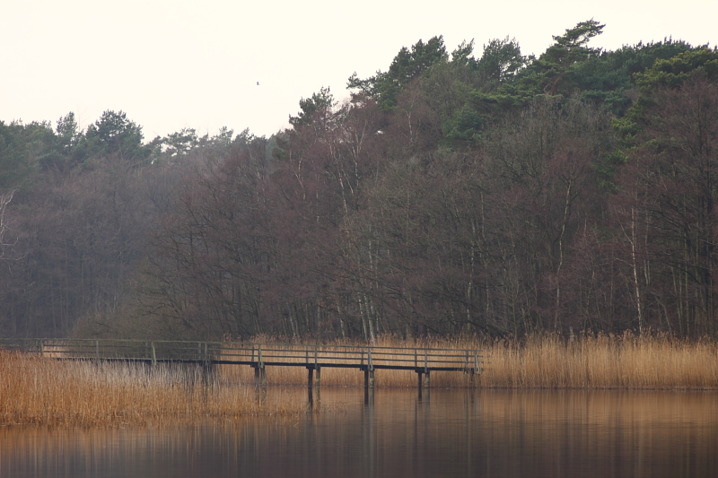 Holzbrücke am Prerowstrom