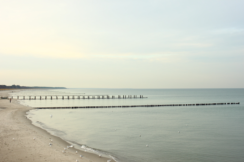 Ostseestrand von Zingst 