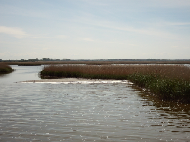 Bülten Bodden Gewässer Zingst