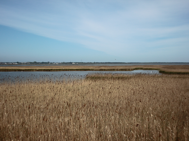 Bülten Bodden Gewässer Zingst