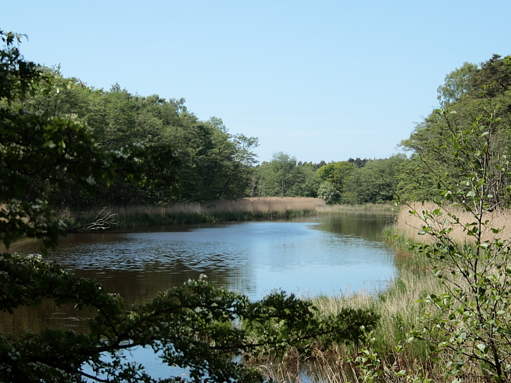 Fischland-Dar-Zingst