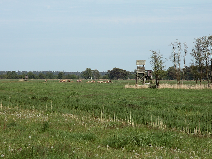 Fischland-Dar-Zingst