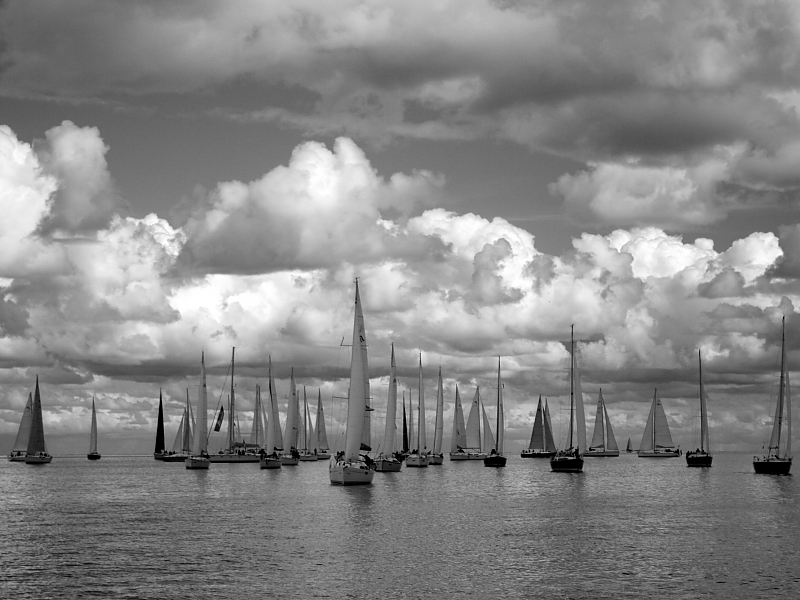 Hanse-Cup Mitsegeln