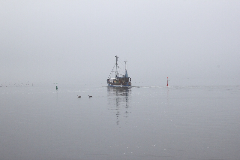 Herbstregatta Segeln Ostsee