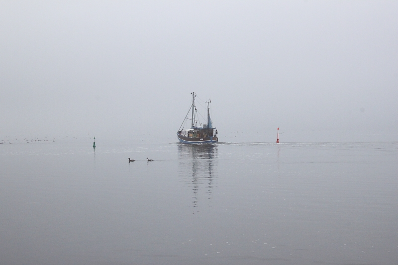 Herbstregatta Segeln Ostsee