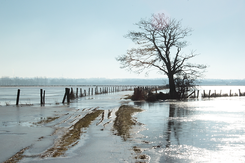 Januar Wetter