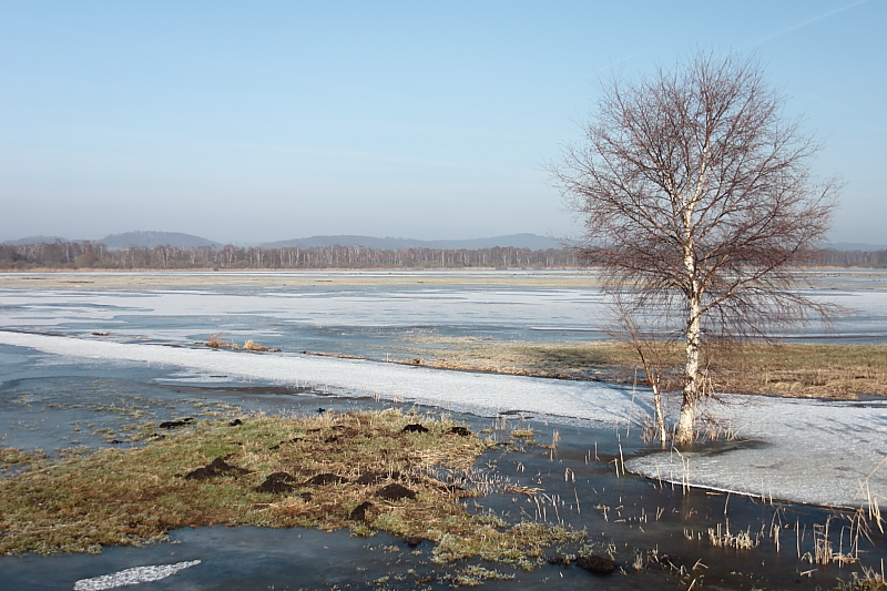 Januar Wetter