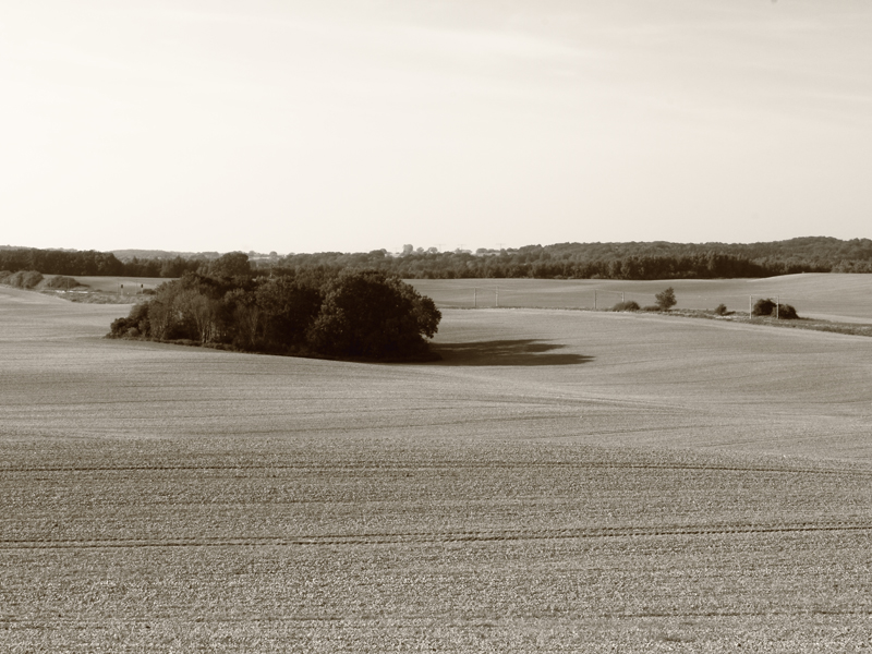 Killikus Fineart Bilder