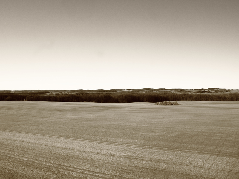 Killikus Fineart Bilder